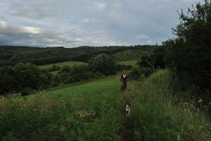 Kirándulás a zöldúton